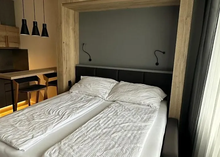 Ah Radnica V Free Parking *